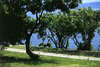 Valamar Bellevue Hotel & Residence 
